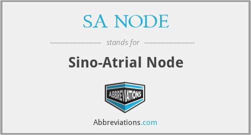 SA NODE - Sino-Atrial Node